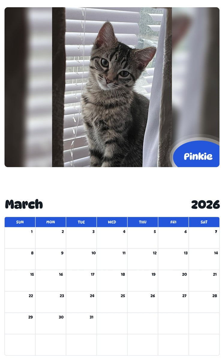 November 2025 - October 2026 Pinkie - Pawidols Pet Calendar