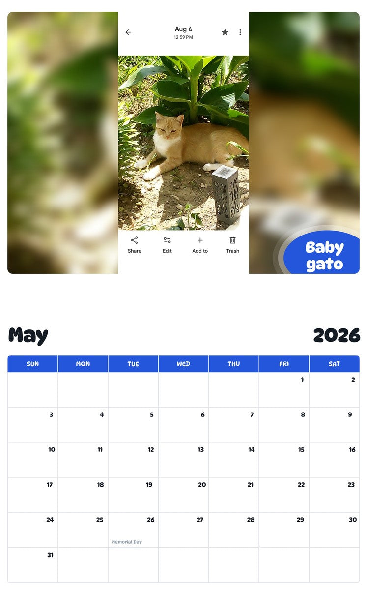 2026 - 2027 Baby gato - Pawidols Pet Calendar