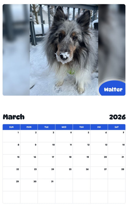 November 2025 - October 2026 Walter - Pawidols Pet Calendar