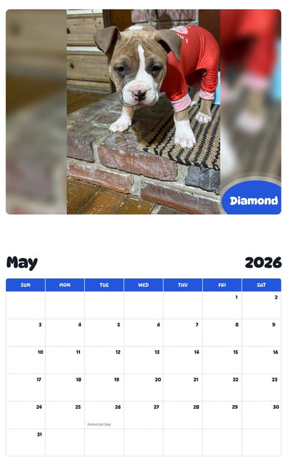 2026 - 2027 Diamond - Pawidols Pet Calendar