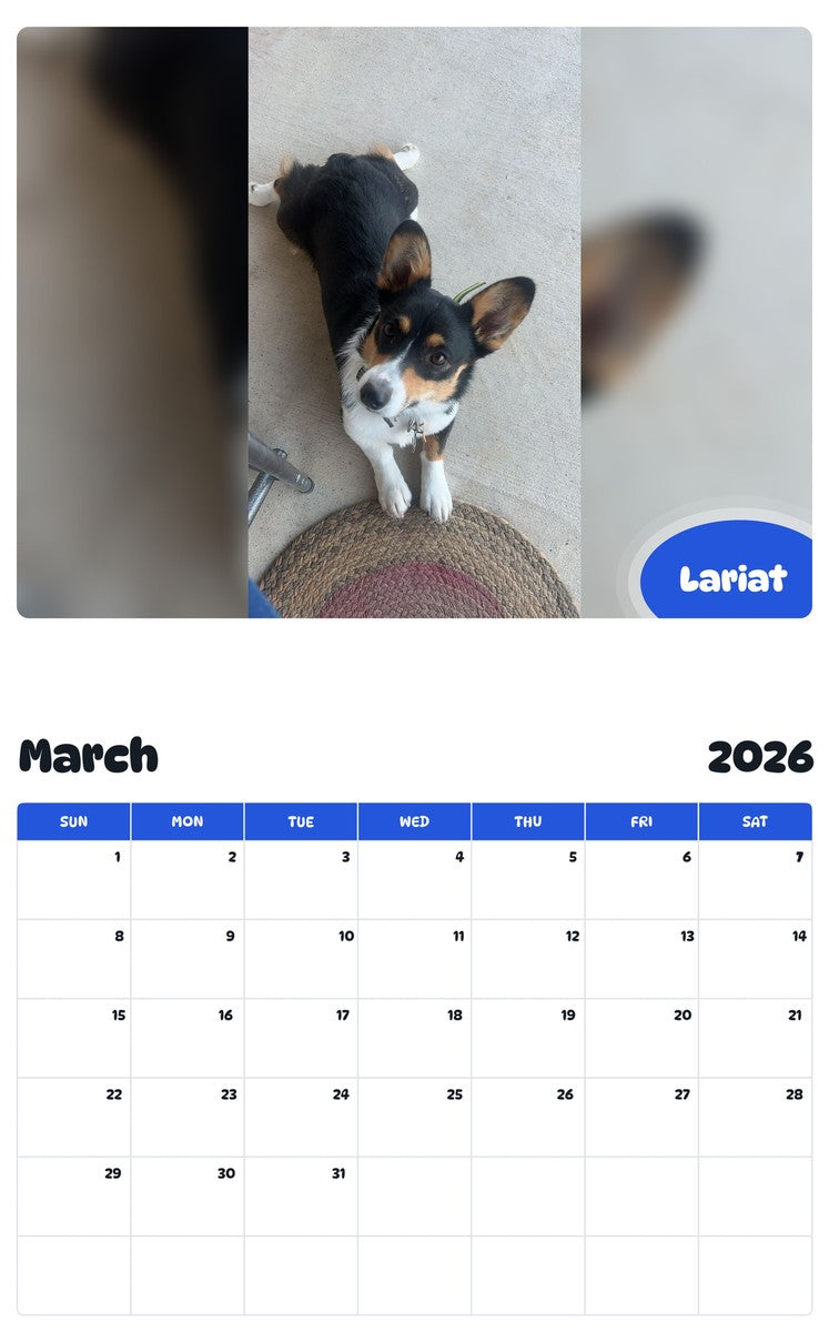 November 2025 - October 2026 Lariat - Pawidols Pet Calendar