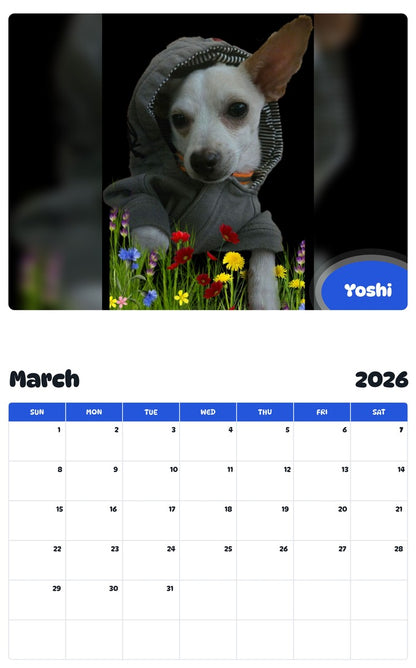 November 2025 - October 2026 Yoshi - Pawidols Pet Calendar