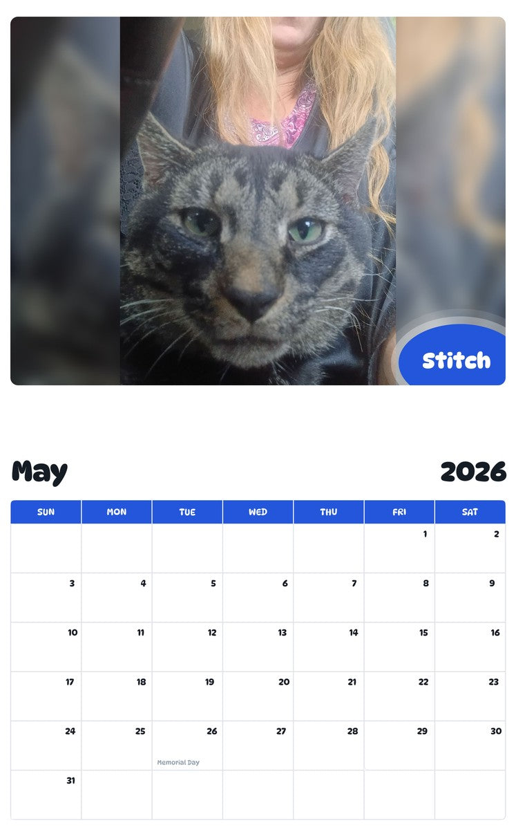 2026 - 2027 Stitch - Pawidols Pet Calendar