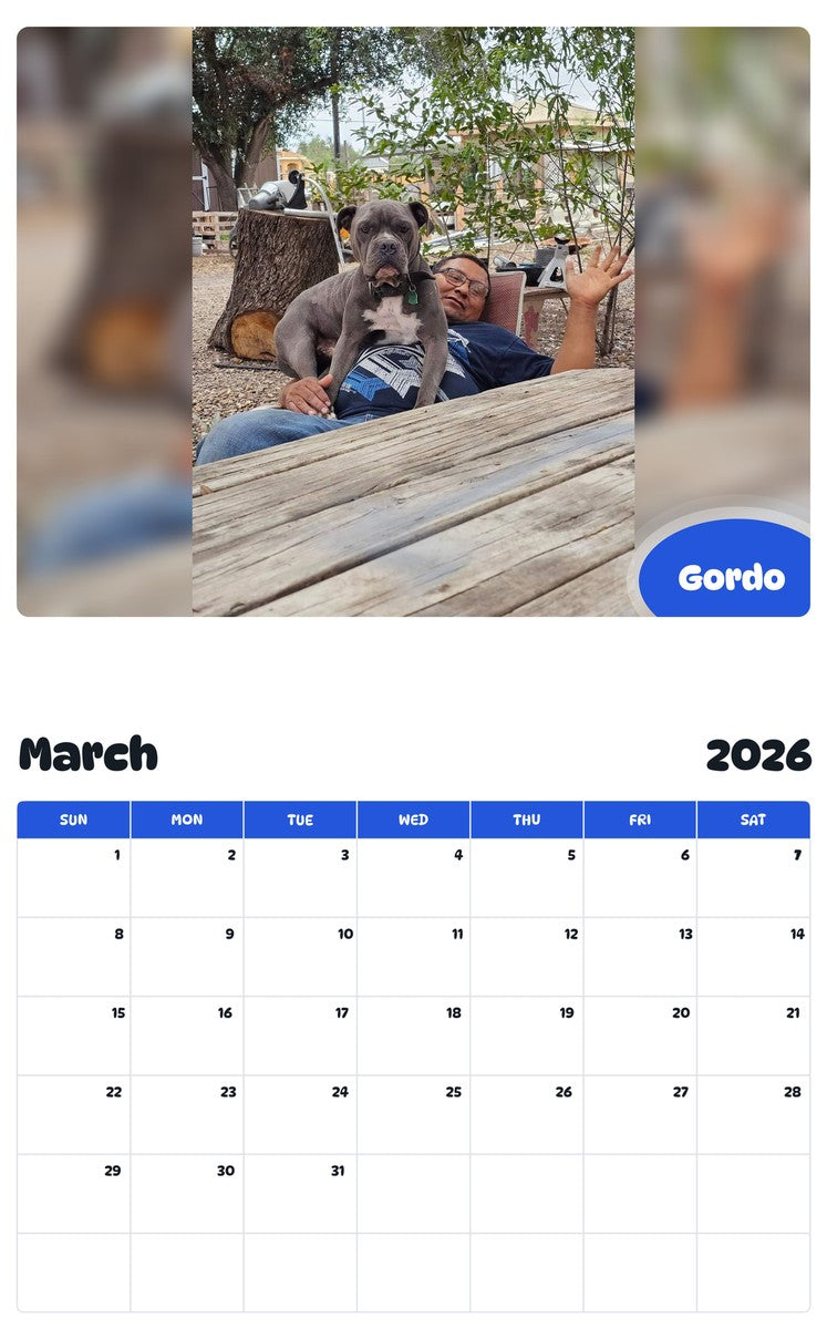 November 2025 - October 2026 Gordo - Pawidols Pet Calendar