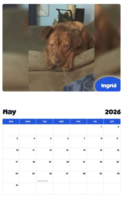 2026 - 2027 Ingrid - Pawidols Pet Calendar