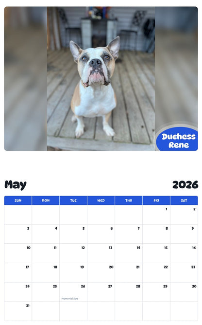 2026 - 2027 Duchess Rene - Pawidols Pet Calendar