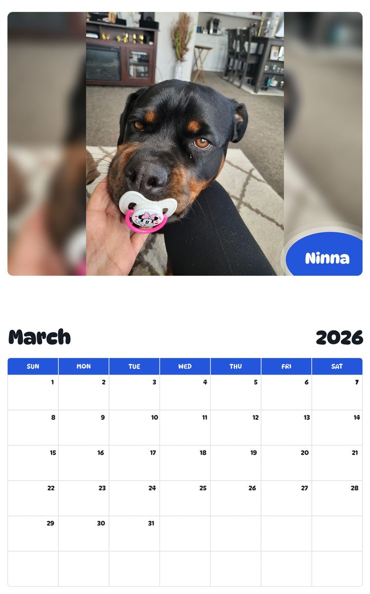 November 2025 - October 2026 Ninna - Pawidols Pet Calendar