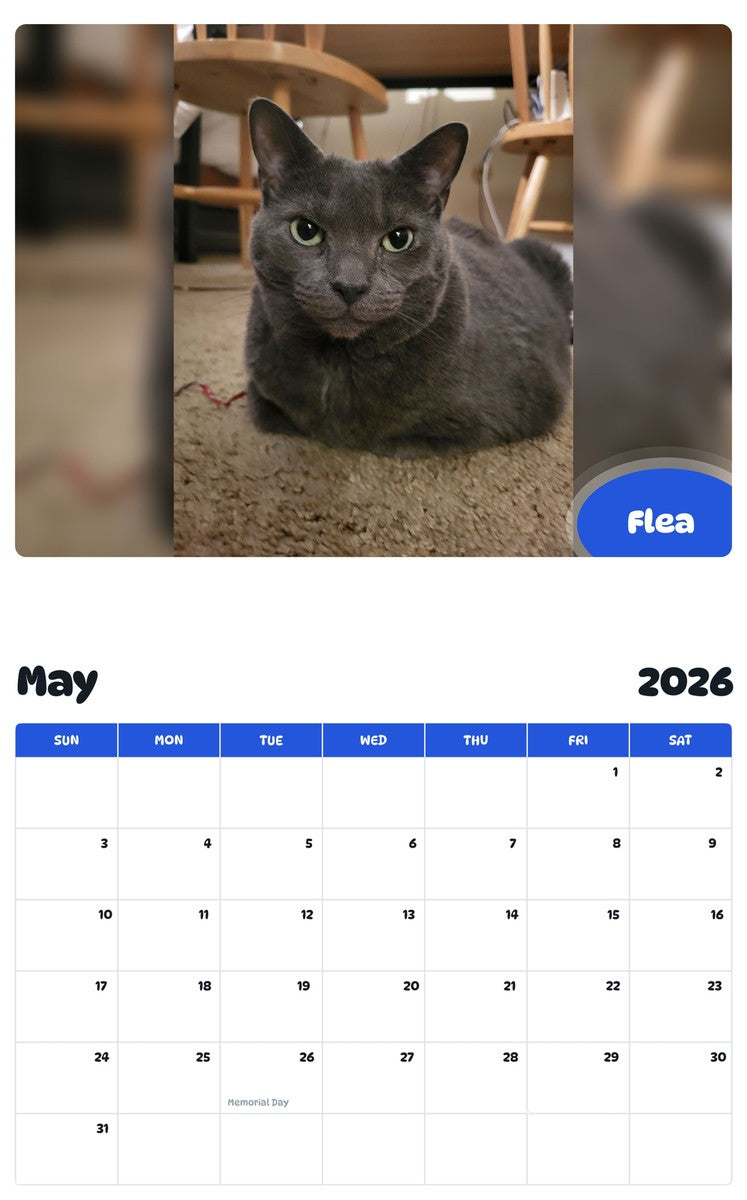 2026 - 2027 Flea - Pawidols Pet Calendar
