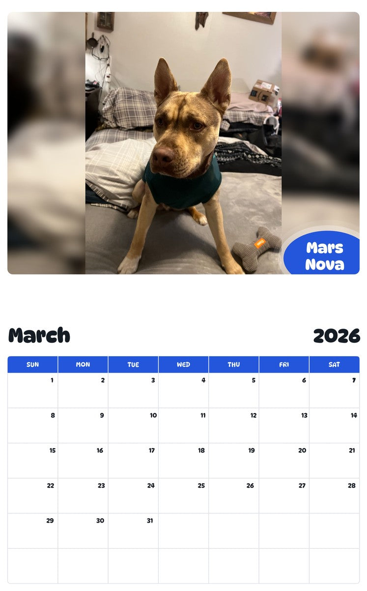 November 2025 - October 2026 Mars Nova - Pawidols Pet Calendar