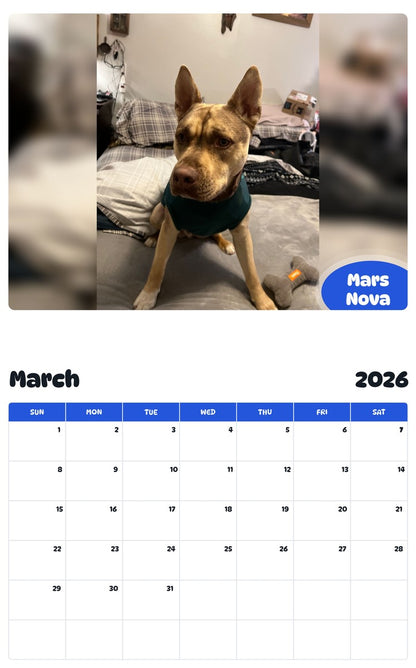 November 2025 - October 2026 Mars Nova - Pawidols Pet Calendar