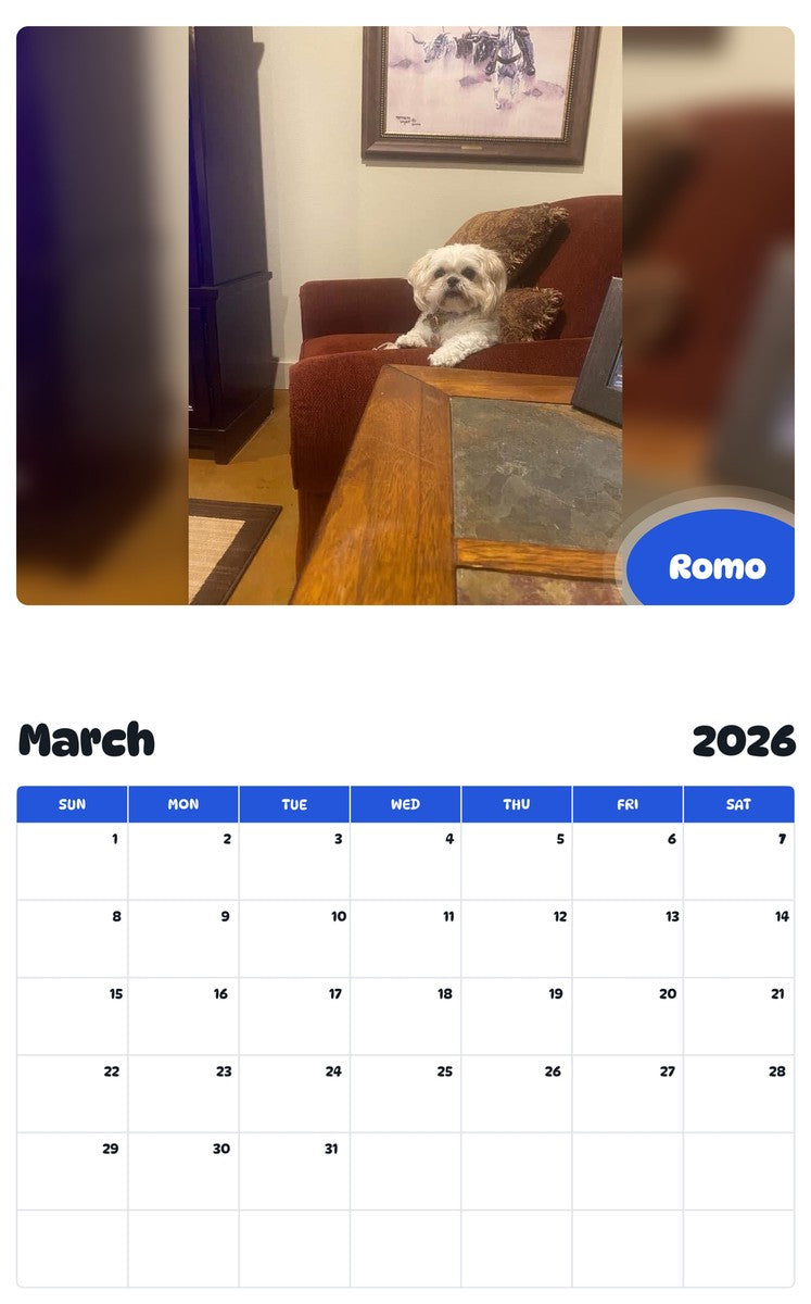 November 2025 - October 2026 Romo - Pawidols Pet Calendar