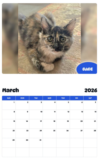 November 2025 - October 2026 BABE - Pawidols Pet Calendar