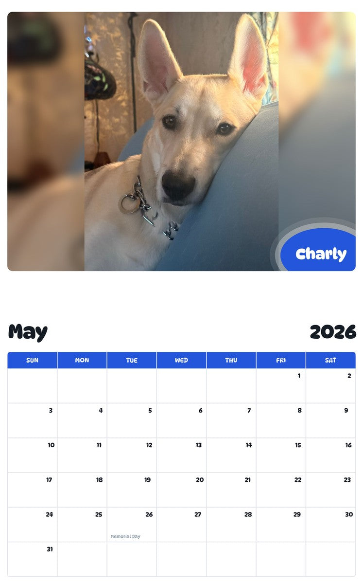 2026 - 2027 Charly - Pawidols Pet Calendar