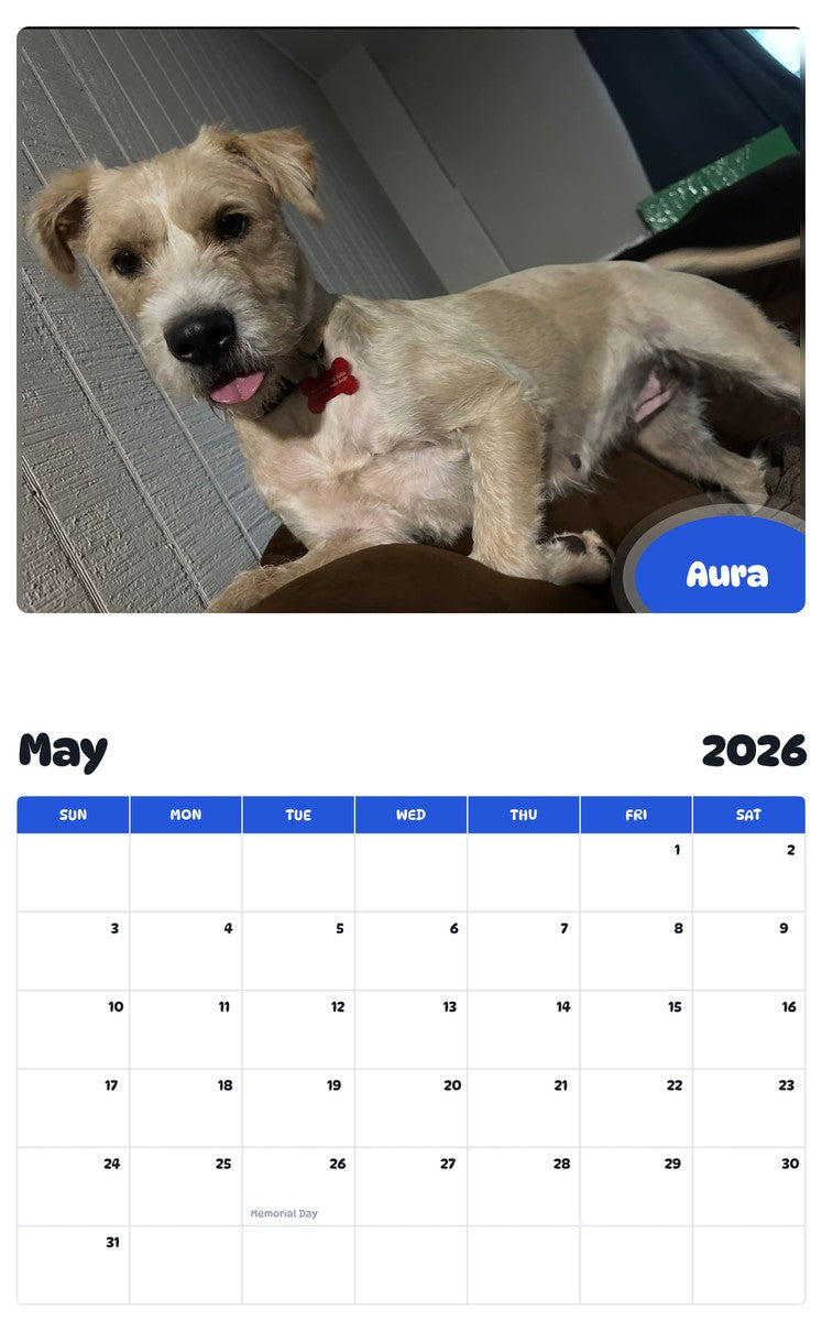 2026 - 2027 Aura - Pawidols Pet Calendar