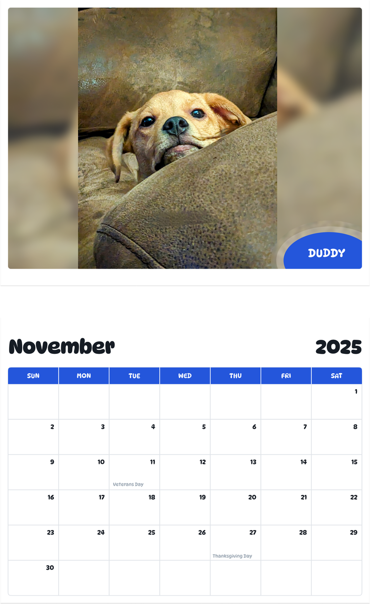 July 2025 - June 2026 Duddy - Pawidols Pet Calendar