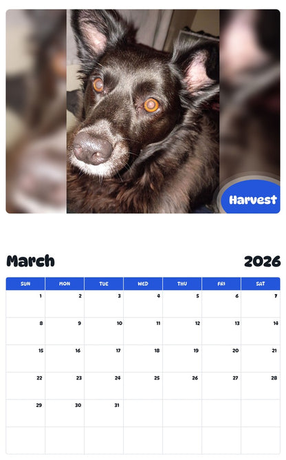 November 2025 - October 2026 Harvest - Pawidols Pet Calendar