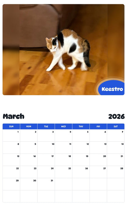 November 2025 - October 2026 Keestro - Pawidols Pet Calendar