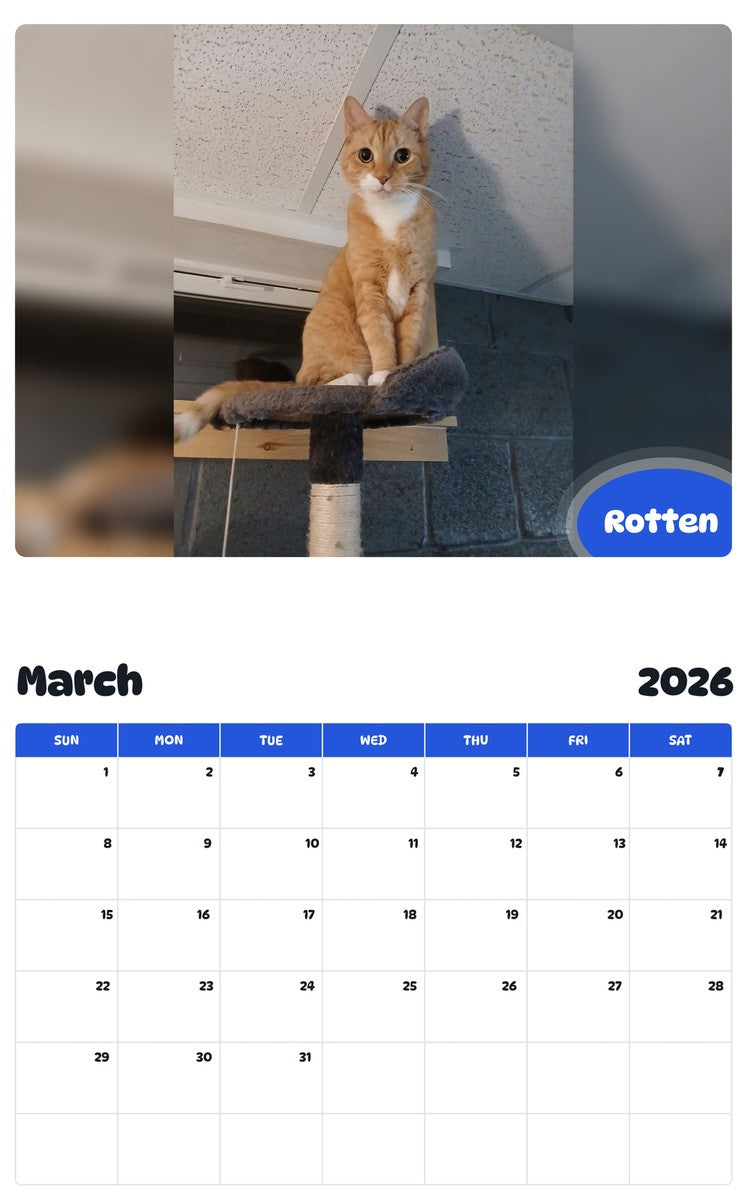 November 2025 - October 2026 Rotten - Pawidols Pet Calendar