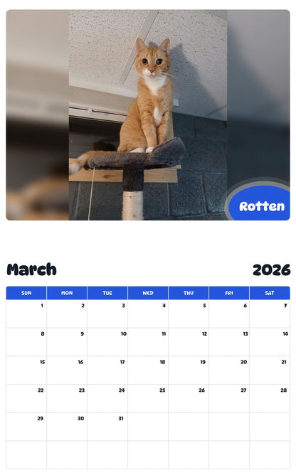 November 2025 - October 2026 Rotten - Pawidols Pet Calendar