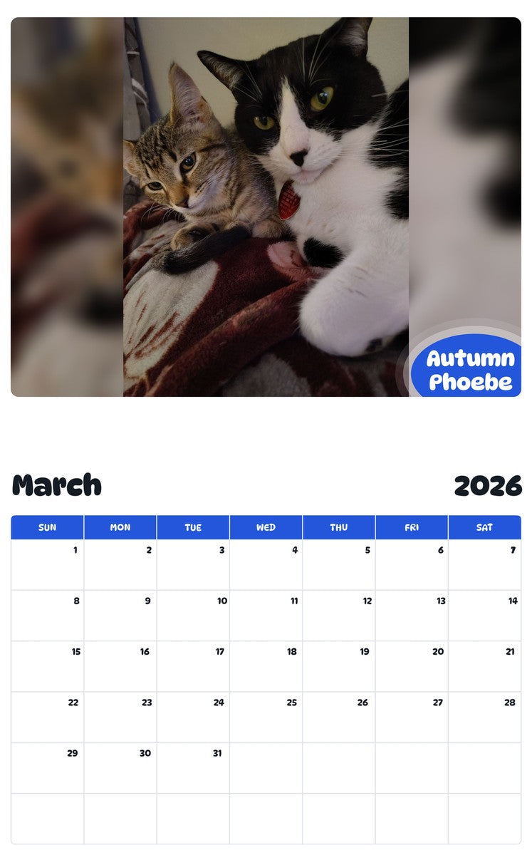 November 2025 - October 2026 Autumn Phoebe - Pawidols Pet Calendar