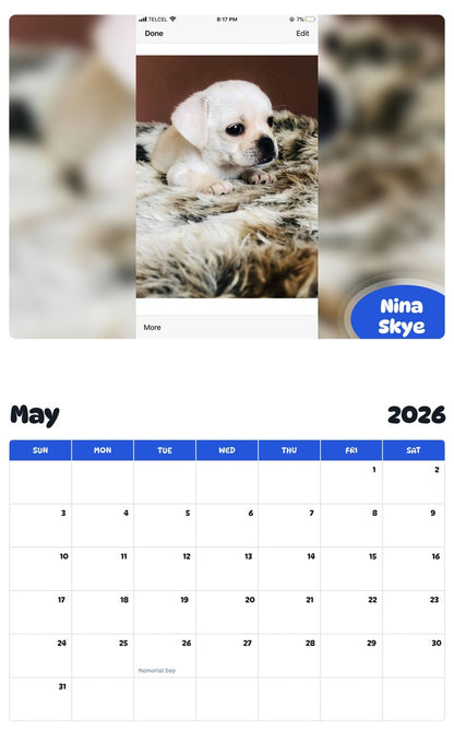 2026 - 2027 Nina Skye - Pawidols Pet Calendar