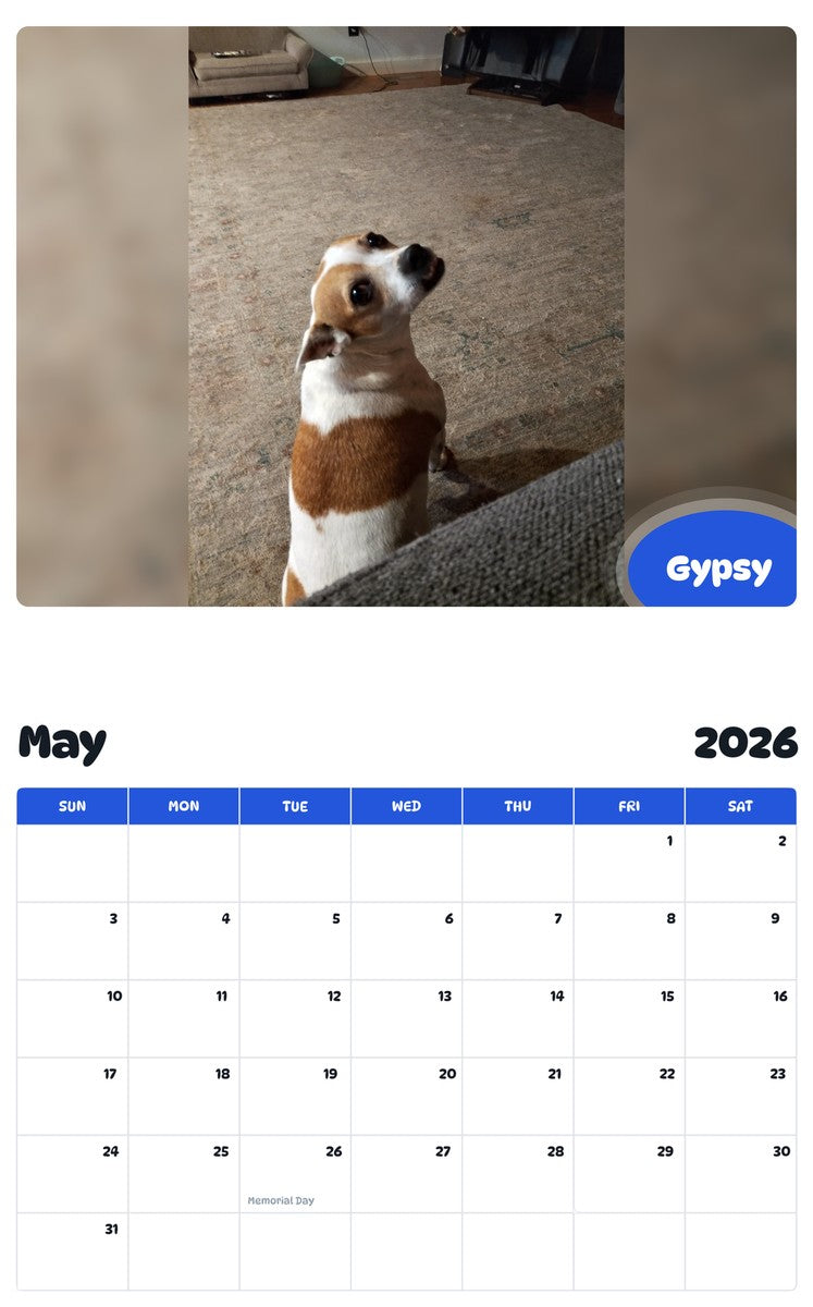 2026 - 2027 Gypsy - Pawidols Pet Calendar