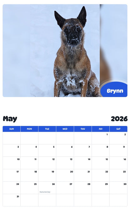 2026 - 2027 Brynn - Pawidols Pet Calendar