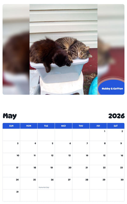 2026 - 2027 Nubby & Cotton - Pawidols Pet Calendar