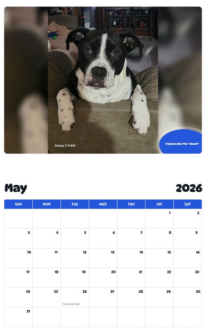 2026 - 2027 Payaso aka the "clown" - Pawidols Pet Calendar