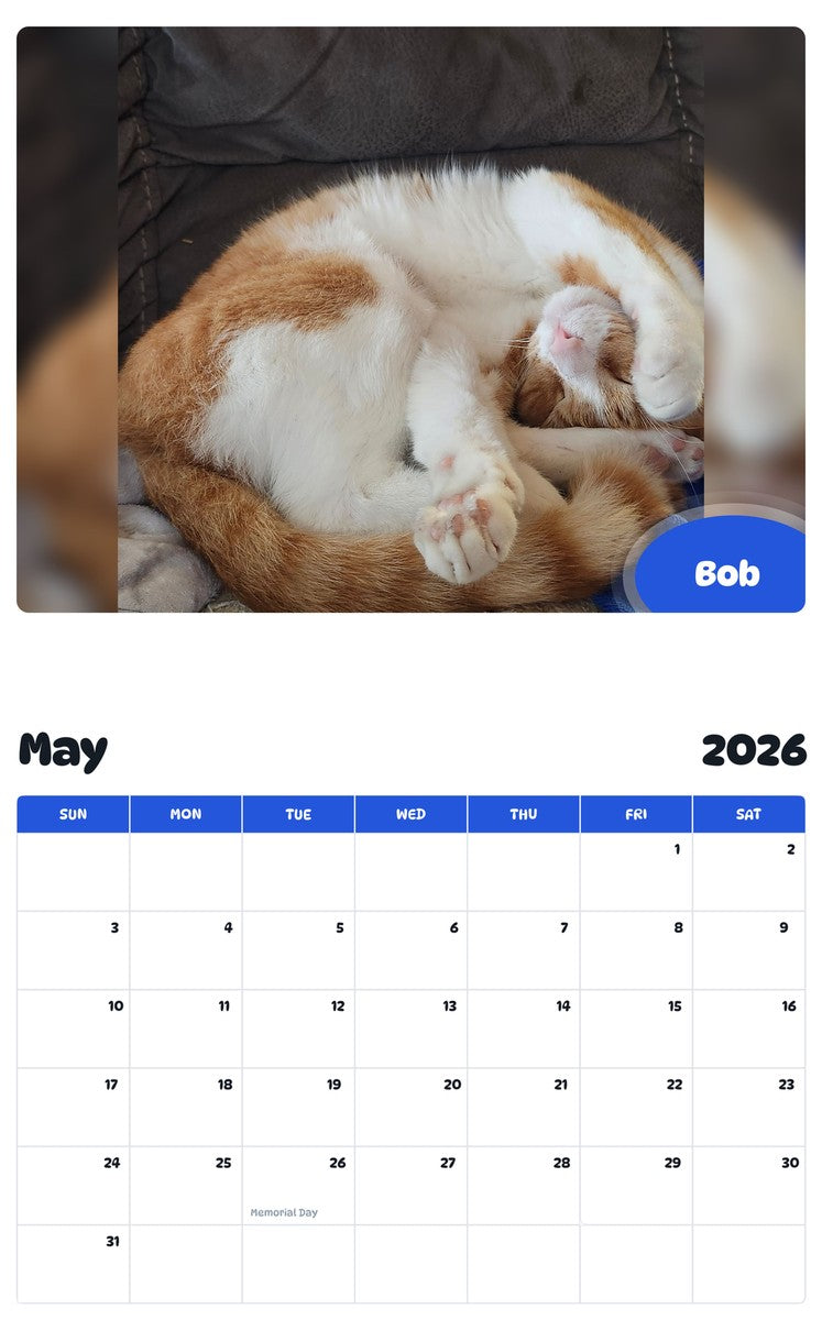 2026 - 2027 Bob - Pawidols Pet Calendar