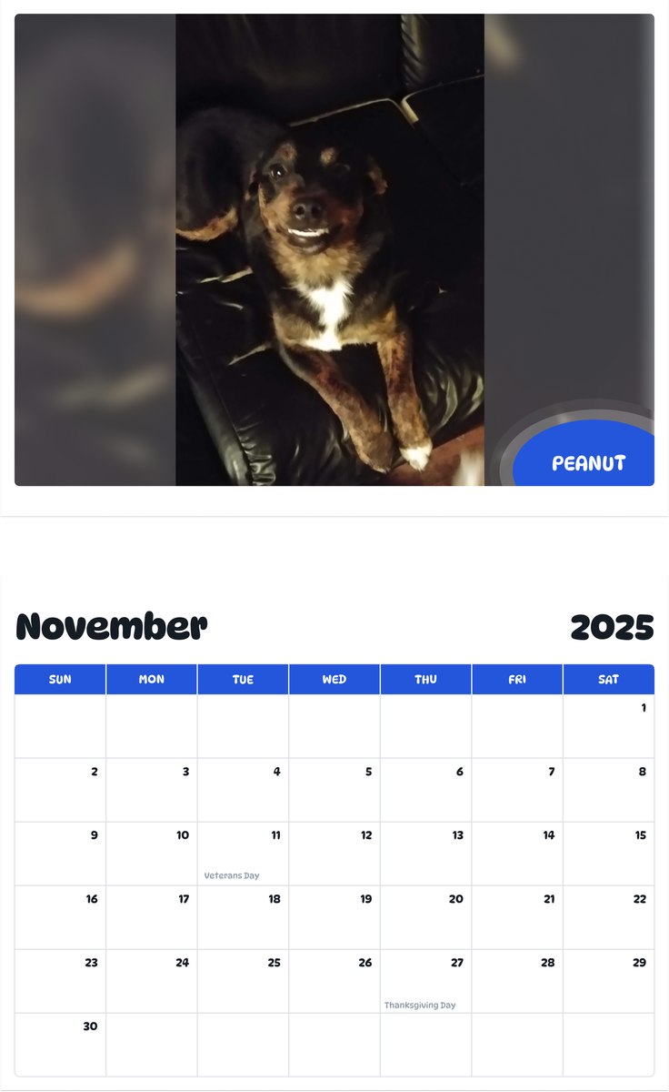 July 2025 - June 2026 Peanut - Pawidols Pet Calendar