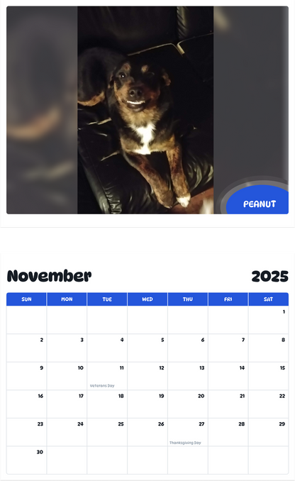 July 2025 - June 2026 Peanut - Pawidols Pet Calendar