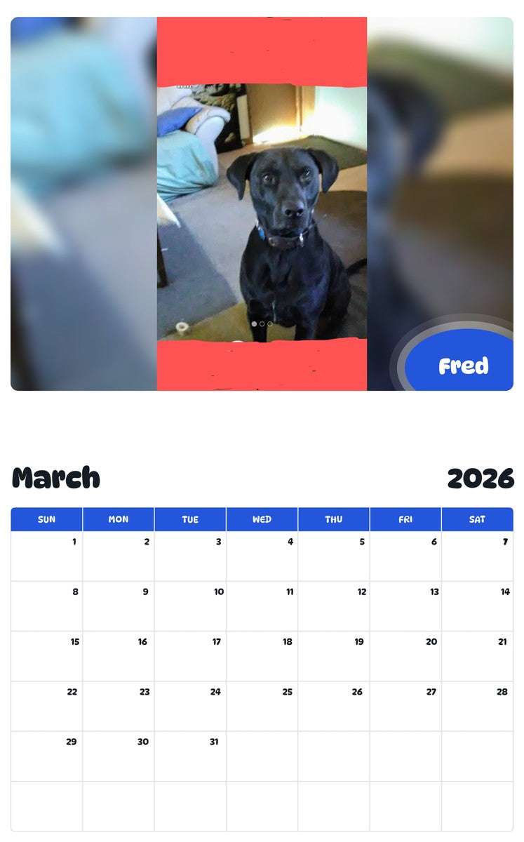 November 2025 - October 2026 Fred - Pawidols Pet Calendar
