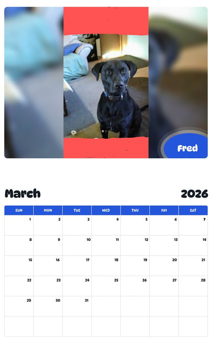 November 2025 - October 2026 Fred - Pawidols Pet Calendar