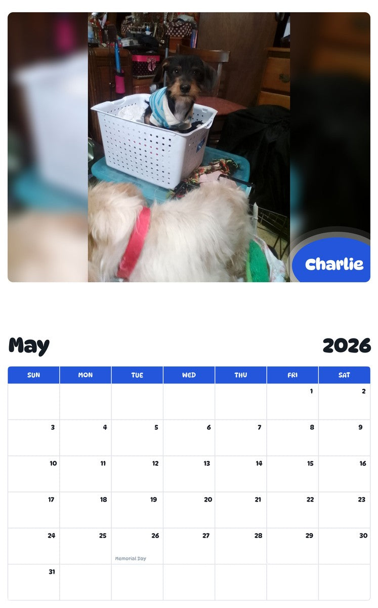 2026 - 2027 Charlie - Pawidols Pet Calendar