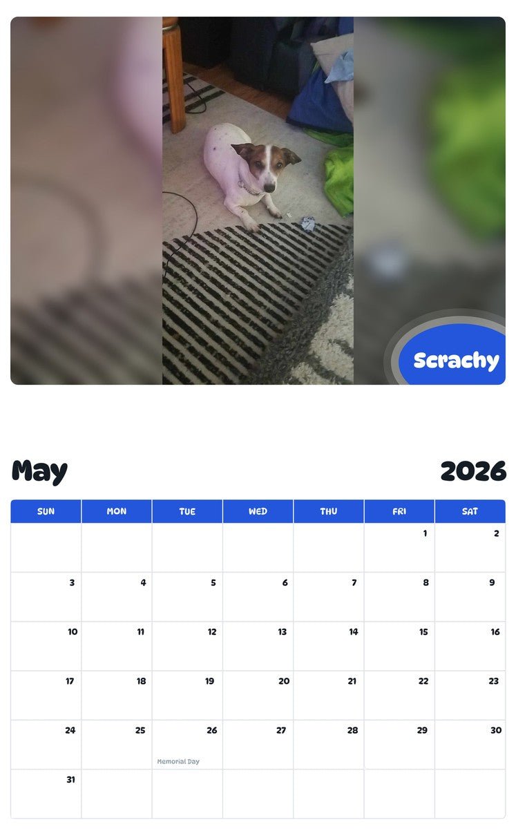 2026 - 2027 Scrachy - Pawidols Pet Calendar