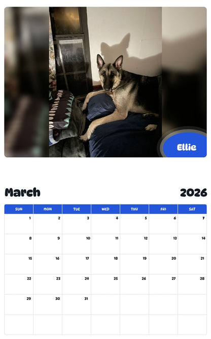 November 2025 - October 2026 Ellie - Pawidols Pet Calendar