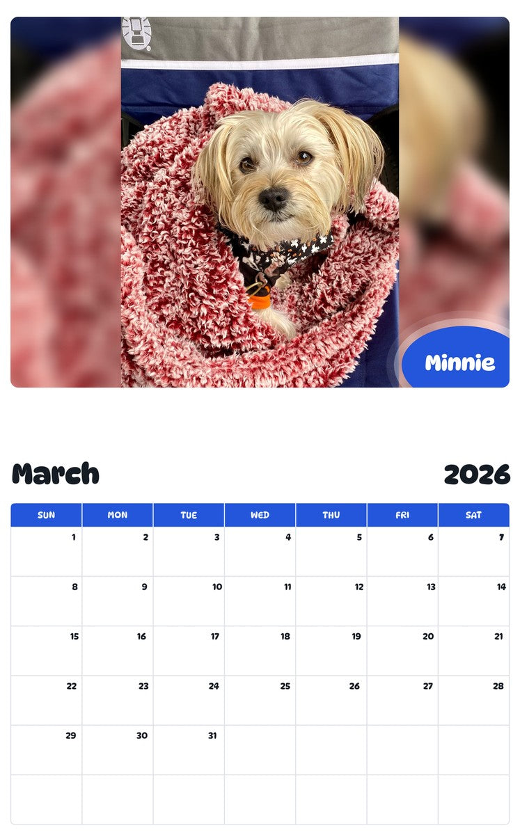 November 2025 - October 2026 Minnie - Pawidols Pet Calendar