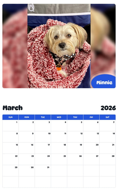 November 2025 - October 2026 Minnie - Pawidols Pet Calendar