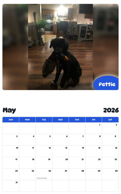 2026 - 2027 Pettie - Pawidols Pet Calendar