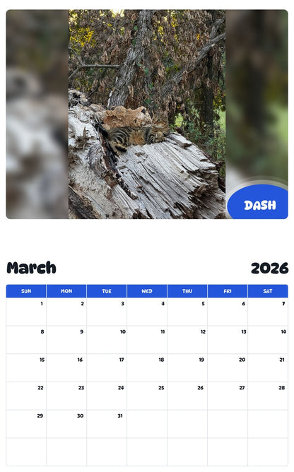 November 2025 - October 2026 DASH - Pawidols Pet Calendar
