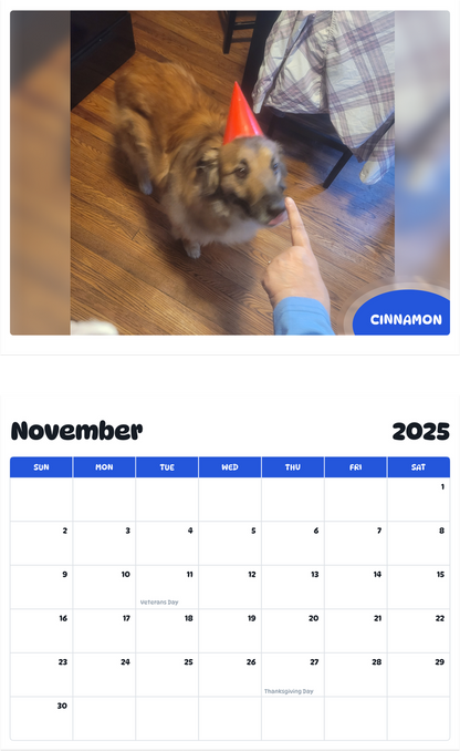 July 2025 - June 2026 Cinnamon - Pawidols Pet Calendar