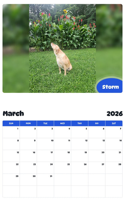 November 2025 - October 2026 Storm - Pawidols Pet Calendar