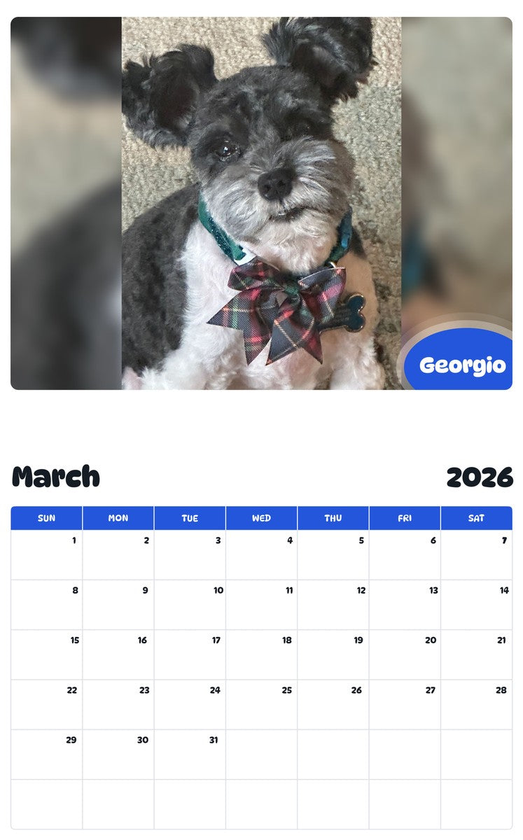 November 2025 - October 2026 Georgio - Pawidols Pet Calendar