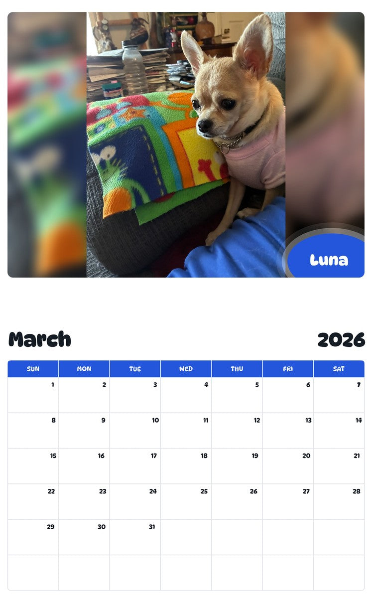 November 2025 - October 2026 Luna - Pawidols Pet Calendar