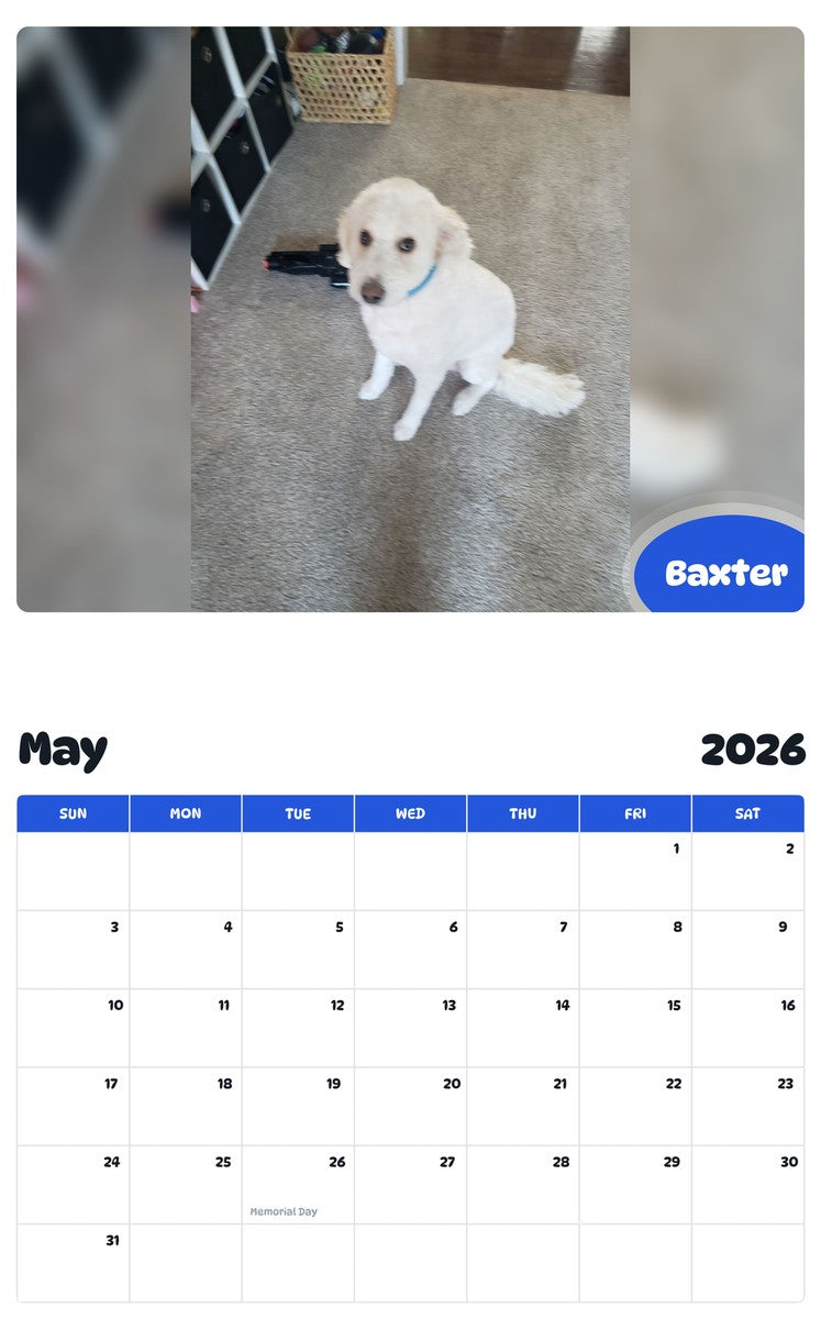 2026 - 2027 Baxter - Pawidols Pet Calendar