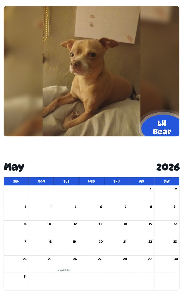 2026 - 2027 Lil Bear - Pawidols Pet Calendar