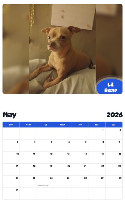 2026 - 2027 Lil Bear - Pawidols Pet Calendar