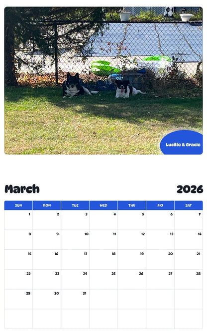 November 2025 - October 2026 Lucille & Gracie - Pawidols Pet Calendar
