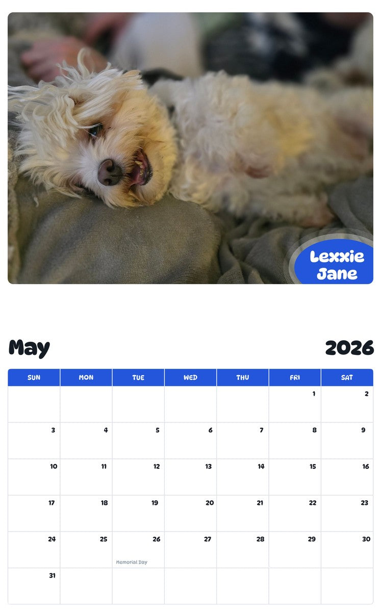 2026 - 2027 Lexxie Jane - Pawidols Pet Calendar
